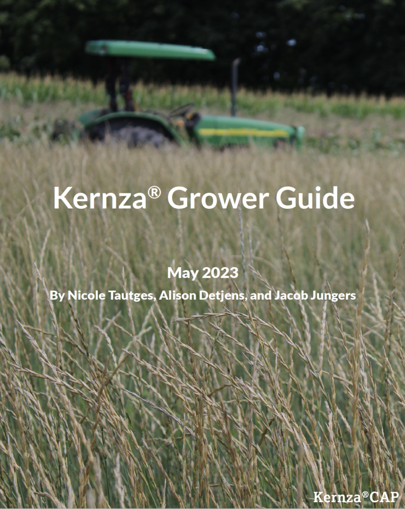 Kernza Grower Guide Kernza 