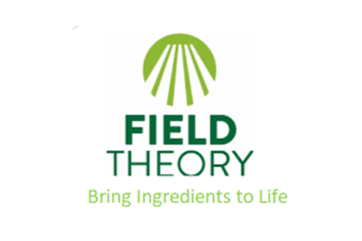 Field Theory Logo
